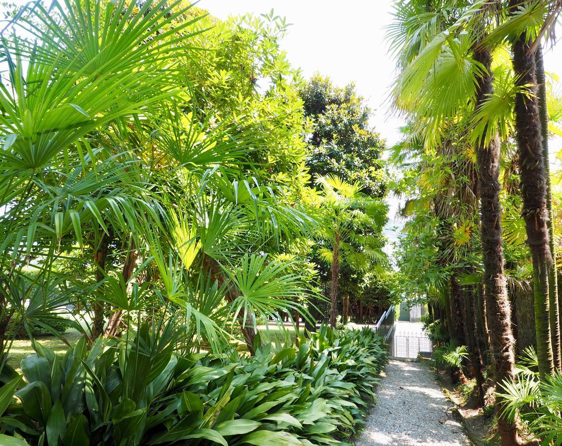 Casa Mondadori Meina Bagian luar foto